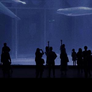 青青草视频官网
