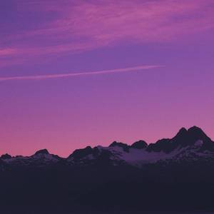 青青草视频官网
