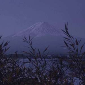 青青草视频官网
