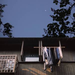 青青草视频官网
