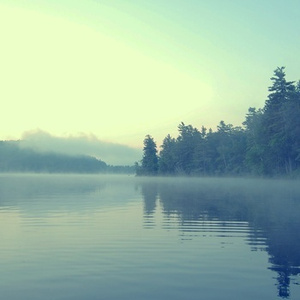 青青草视频官网

